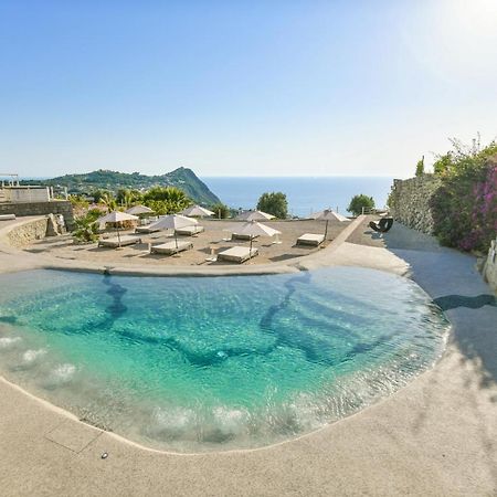 Tenuta C'Est La Vie Forio di Ischia 外观 照片