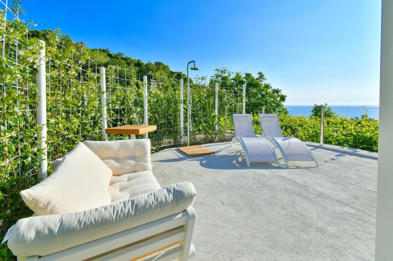 Tenuta C'Est La Vie Forio di Ischia 外观 照片