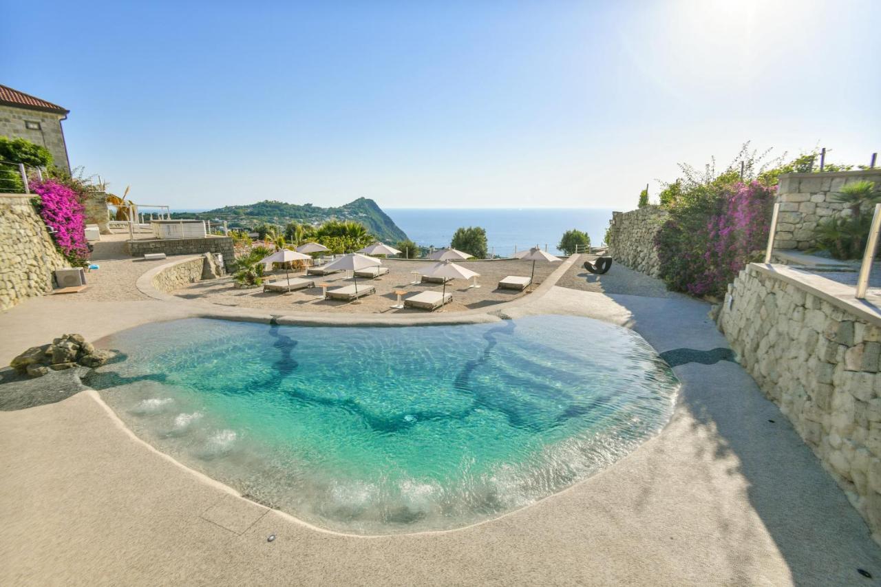 Tenuta C'Est La Vie Forio di Ischia 外观 照片
