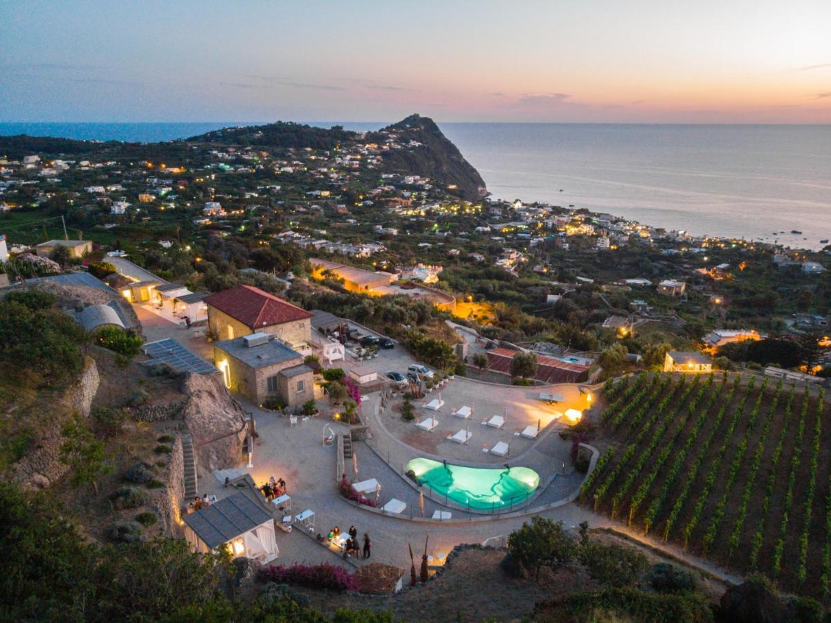Tenuta C'Est La Vie Forio di Ischia 外观 照片