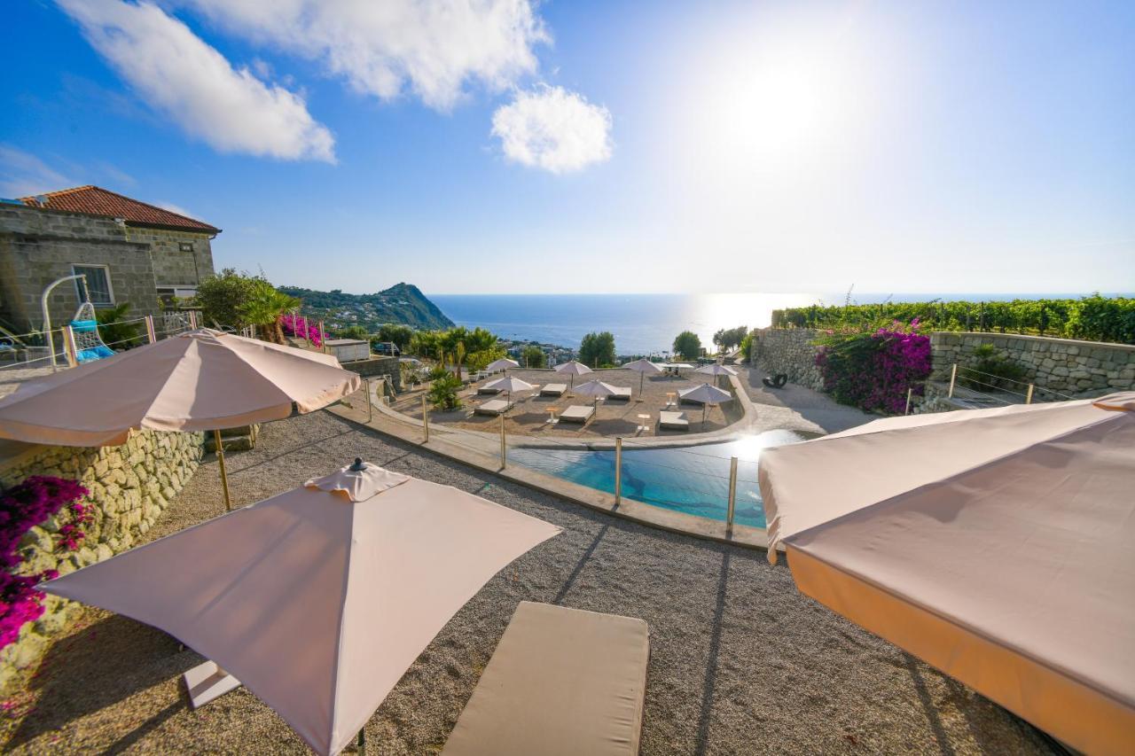 Tenuta C'Est La Vie Forio di Ischia 外观 照片