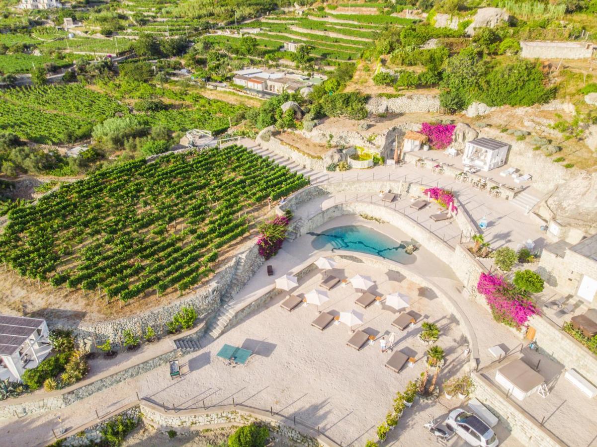 Tenuta C'Est La Vie Forio di Ischia 外观 照片