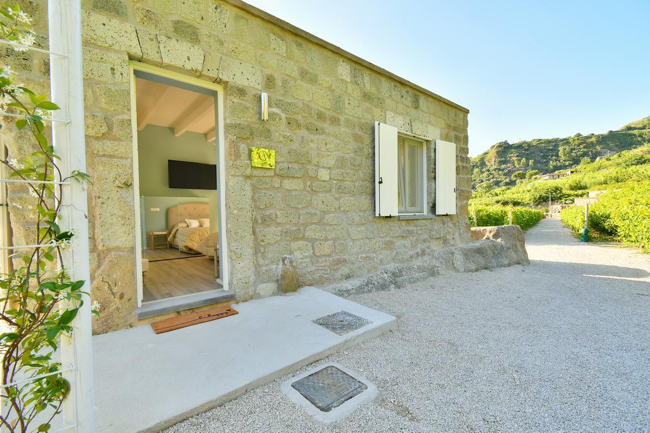 Tenuta C'Est La Vie Forio di Ischia 外观 照片