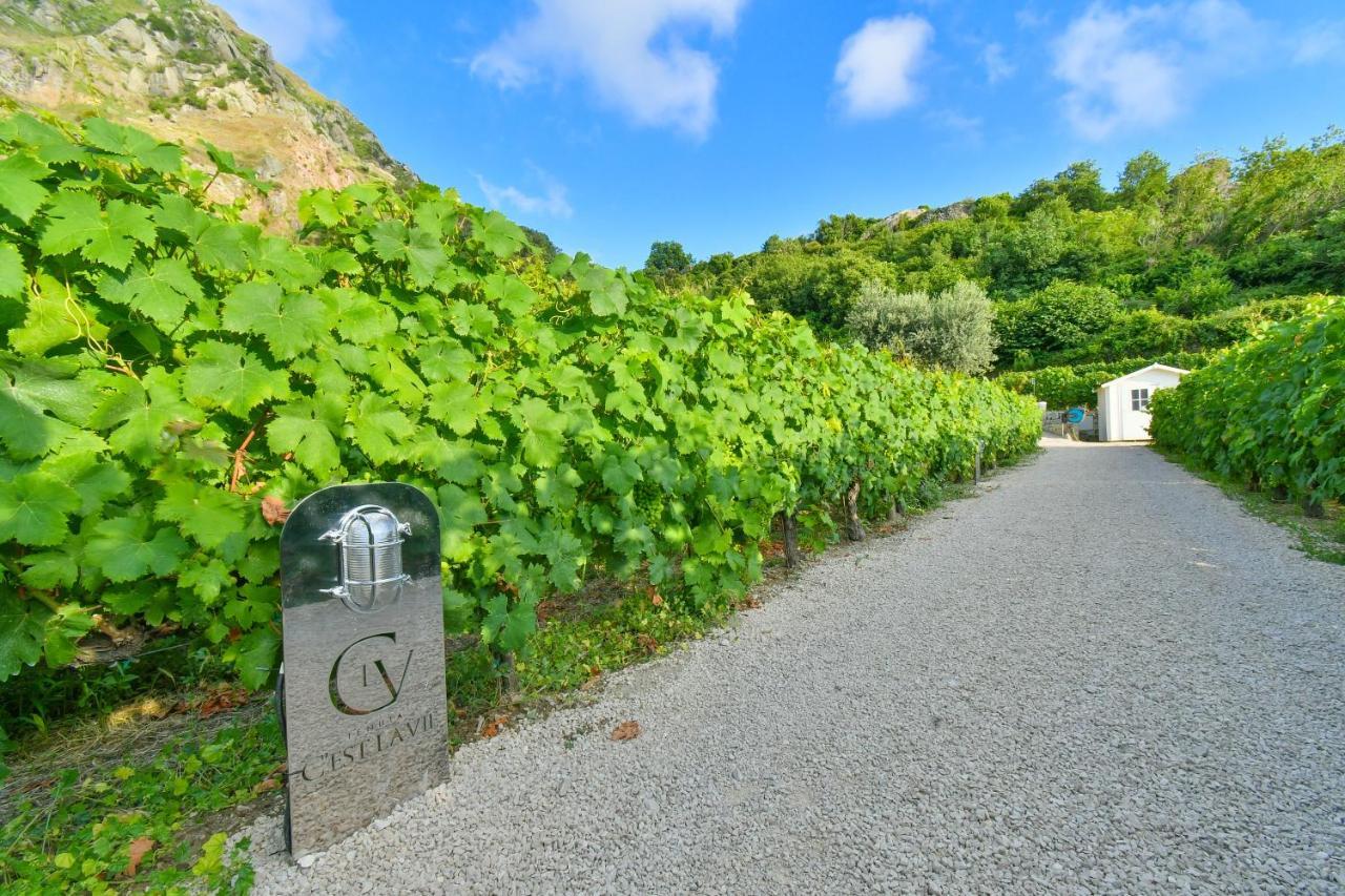 Tenuta C'Est La Vie Forio di Ischia 外观 照片