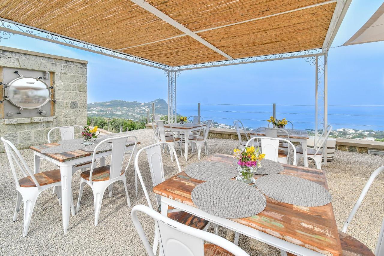 Tenuta C'Est La Vie Forio di Ischia 外观 照片