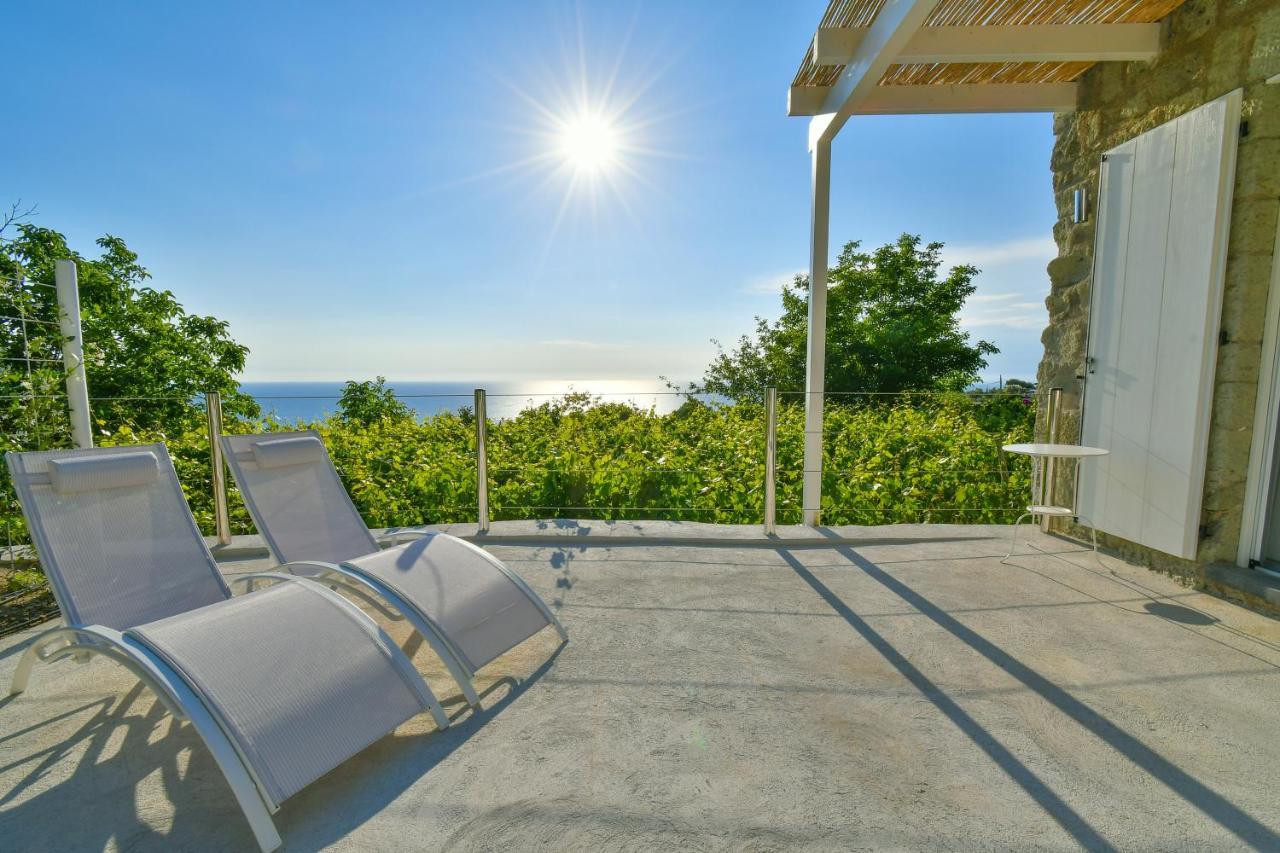 Tenuta C'Est La Vie Forio di Ischia 外观 照片