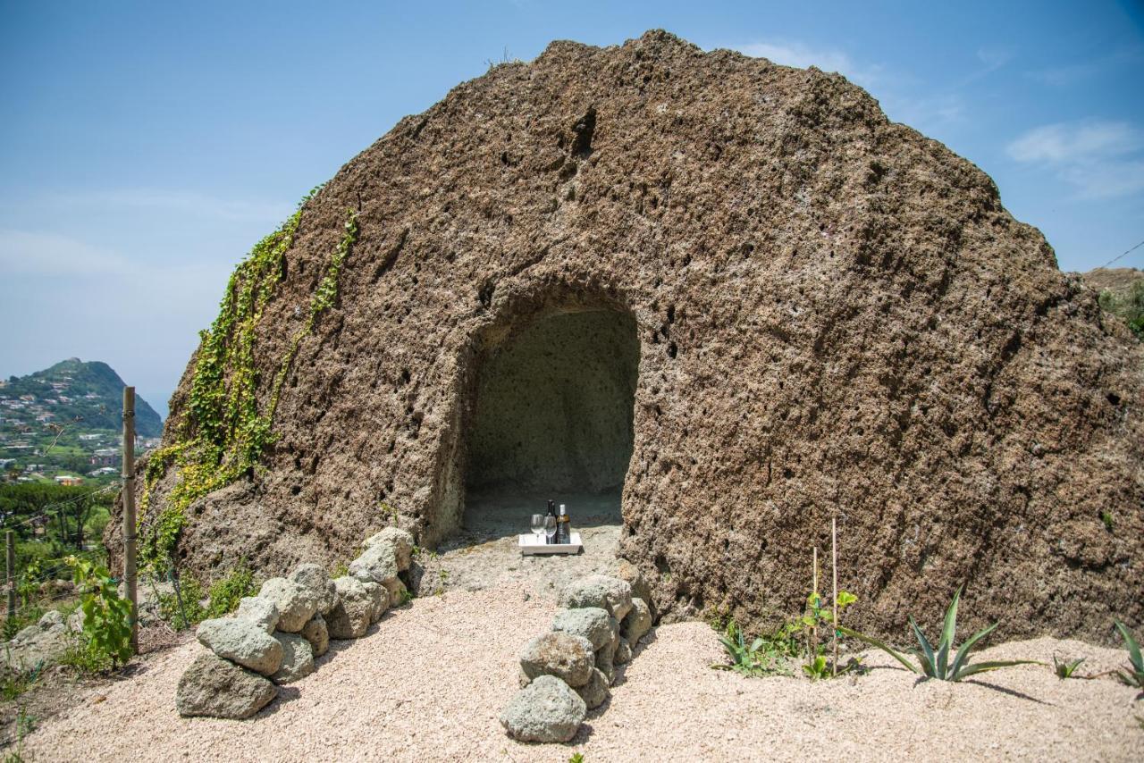 Tenuta C'Est La Vie Forio di Ischia 外观 照片